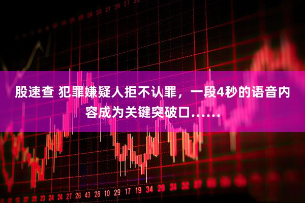 股速查 犯罪嫌疑人拒不认罪，一段4秒的语音内容成为关键突破口……
