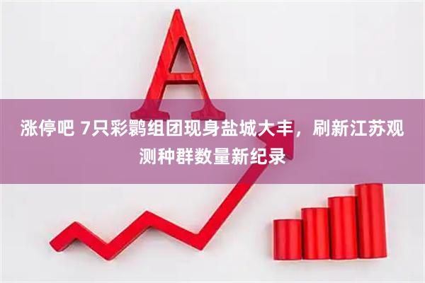 涨停吧 7只彩鹮组团现身盐城大丰，刷新江苏观测种群数量新纪录
