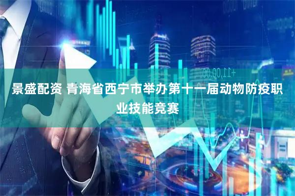 景盛配资 青海省西宁市举办第十一届动物防疫职业技能竞赛